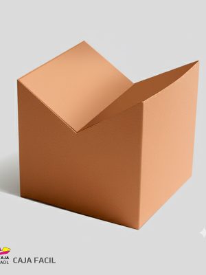 Caja Forma de V en la Tapa